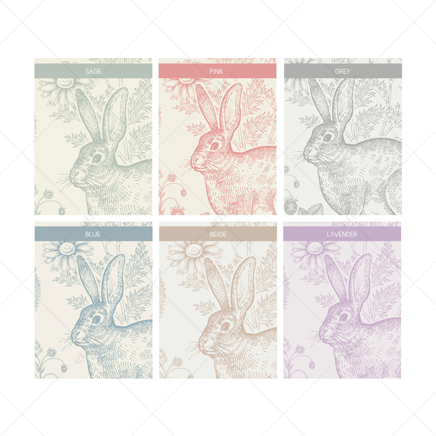 Bosque-Caprichoso-Líneas-G-WEBz